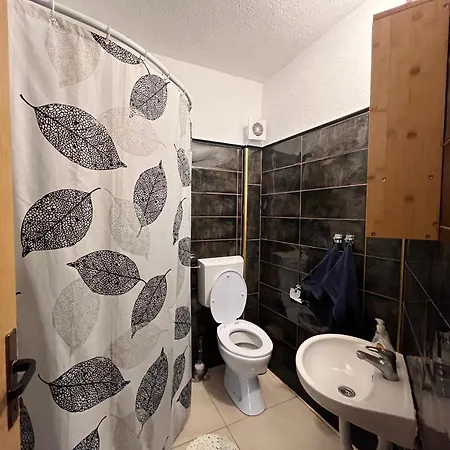 Hostel Backpackers-2